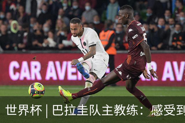 世界杯 | 巴拉圭队主教练：感受到比赛的极致压力