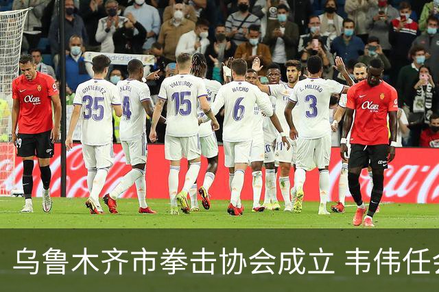 乌鲁木齐市拳击协会成立 韦伟任会长