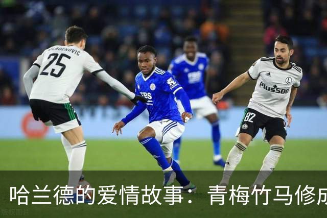哈兰德的爱情故事：青梅竹马修成正果 女友主动追求他