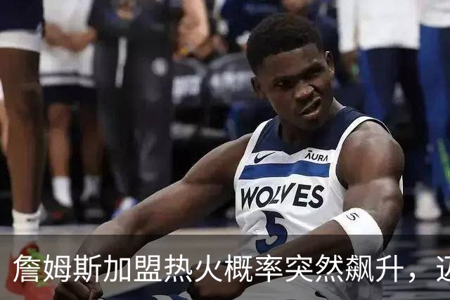 詹姆斯加盟热火概率突然飙升，迈尔密恐成最大赢家！