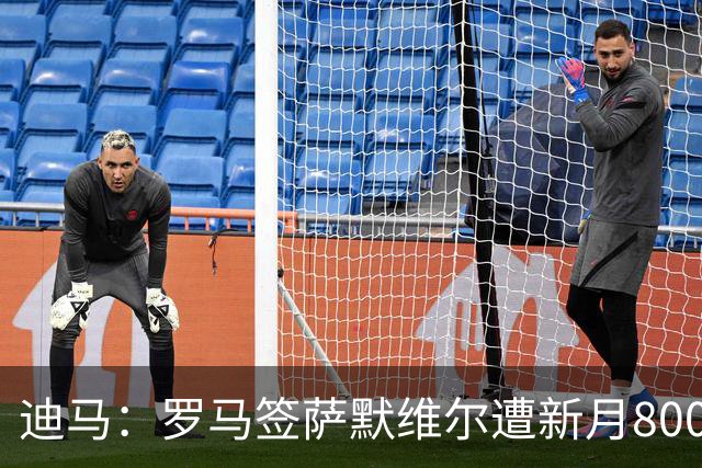 迪马：罗马签萨默维尔遭新月8000万欧截胡 目标转向努萨等人
