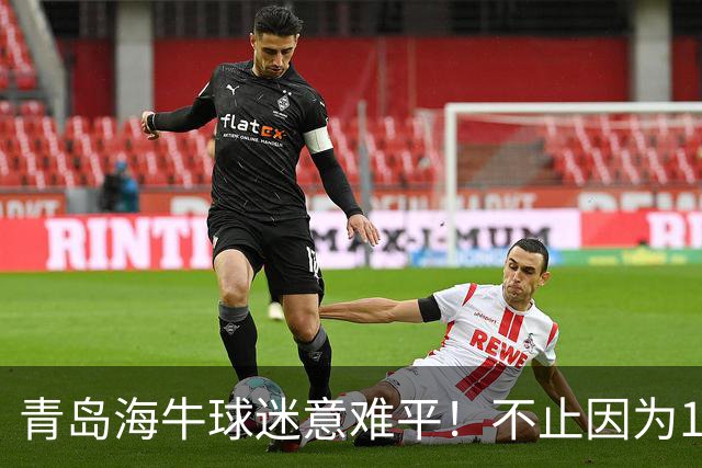 青岛海牛球迷意难平！不止因为1-5河南队，更多在于以下五点！