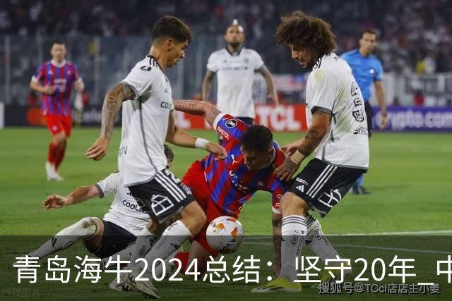 青岛海牛2024总结：坚守20年 中能的拼争与困境