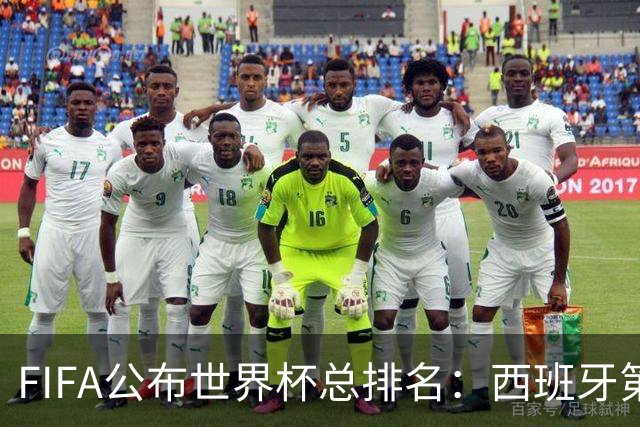 FIFA公布世界杯总排名：西班牙第1，巴西第11，荷兰、德国第17、18